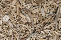 biomass boilers Erbistock