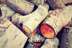 Erbistock wood burning boiler costs